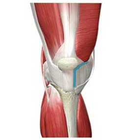 Best Orthopedic Doctor in Thane/Mulund/Mumbai | Bone & Joint