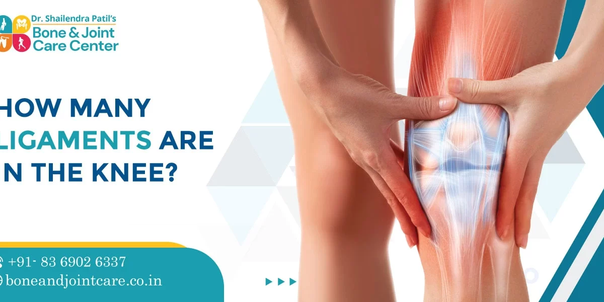 how many ligaments are in the knee