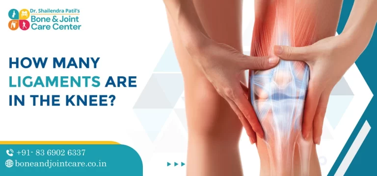 how many ligaments are in the knee